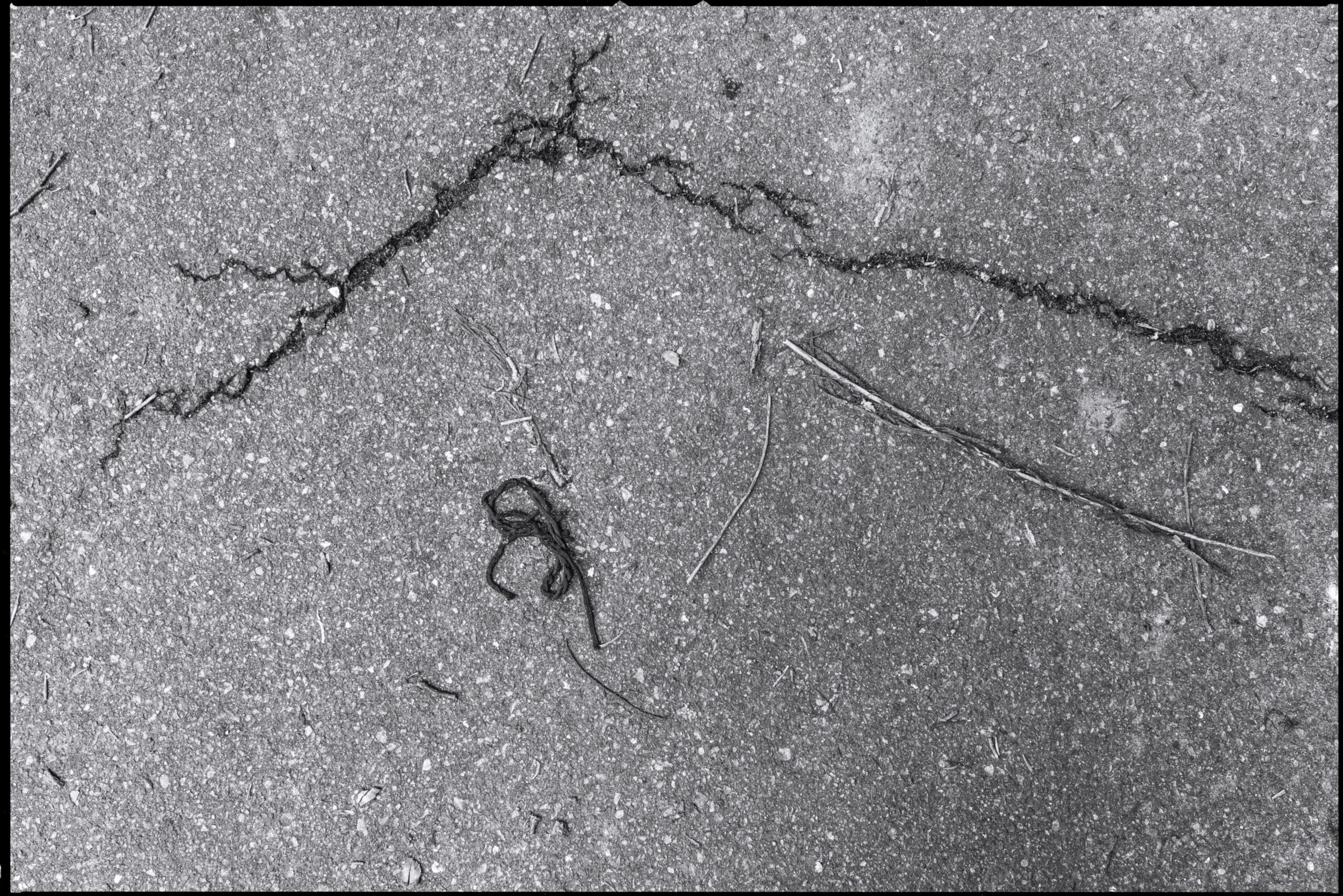 Abstraktion – Das Spiel von Linie und Fläche